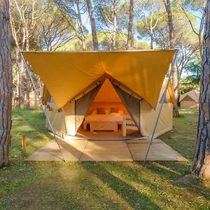 camping-pla-de-la-torre.topcostabravahotels.com/